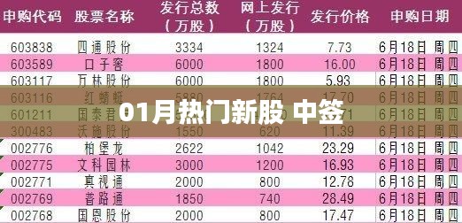 新股中签热度持续,01月新股申购指南