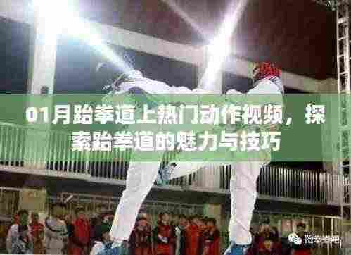 探索跆拳道魅力与技巧,热门动作视频解析