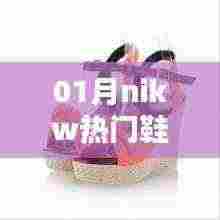 时尚之选,nikw热门鞋,舒适与潮流并存