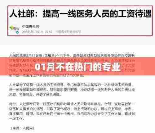 一月冷门专业解析与探讨