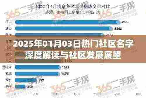 社区名字深度解读与未来展望，展望社区发展之路