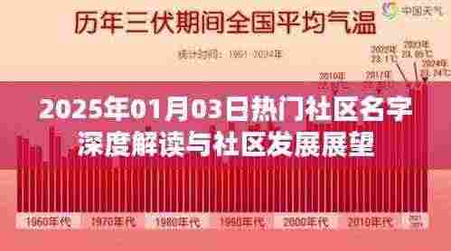 社区名字深度解读与未来展望,展望社区发展之路