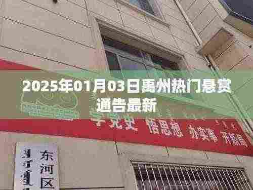 禹州悬赏通告最新更新，2025年热门悬赏公告发布