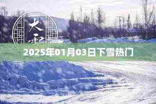 2025年元旦后首场大雪来袭,冬日雪景成热门话题