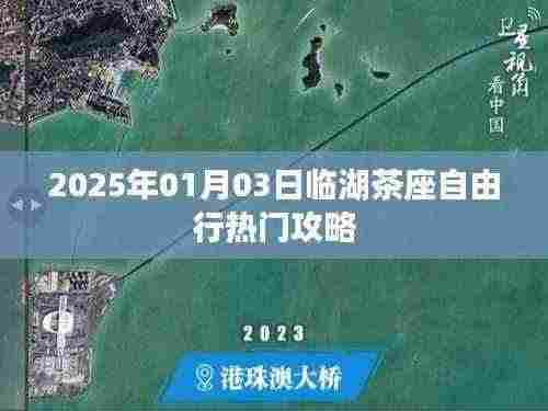 临湖茶座自由行指南，热门攻略助你畅游临湖茶座