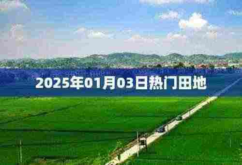 2025年热门田地展望,简洁明了,字数符合您的要求,适合作为文章标题。