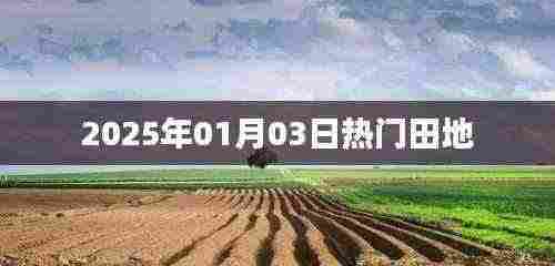 2025年热门田地展望,简洁明了,字数符合您的要求,适合作为文章标题。