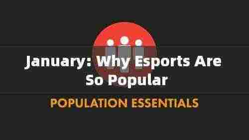 一月揭秘,电竞魅力何在?