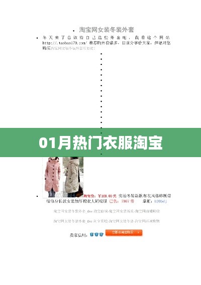 『精选时尚,一月份淘宝热门衣物推荐』