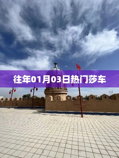 莎车县历年一月三日热点事件回顾