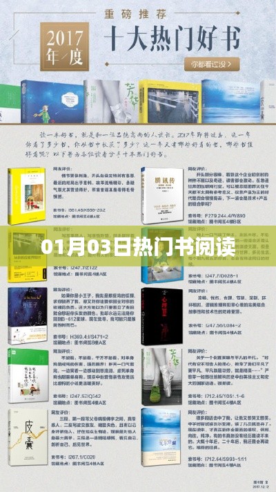 热门书籍阅读，最新推荐与深度解析