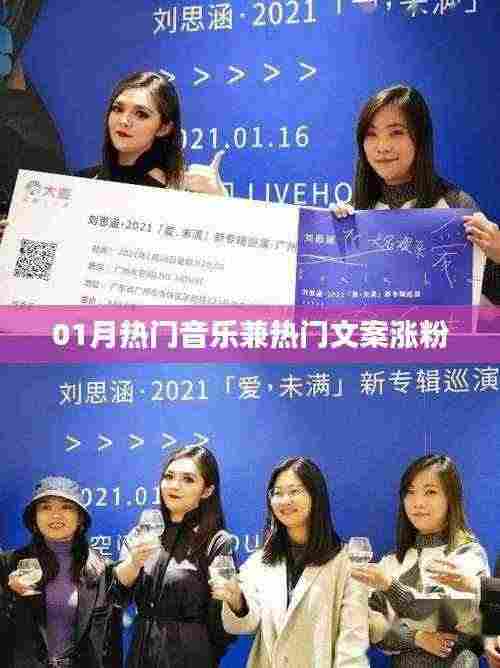 热门音乐与文案魅力,一月涨粉秘籍揭秘