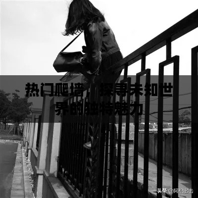 探寻未知魅力的热门爬墙之旅