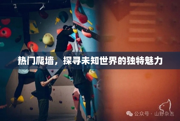 探寻未知魅力的热门爬墙之旅