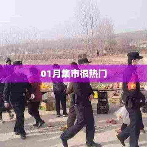 01月集市火热进行中