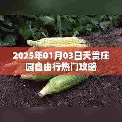 天贵庄园自由行指南,精选攻略,玩转庄园!