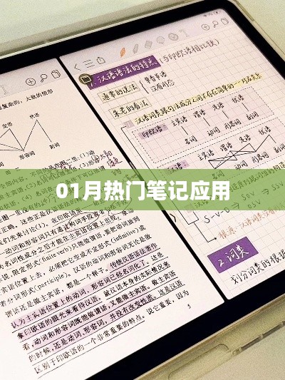 热门笔记应用,一月精选推荐!