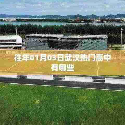 武汉历年热门高中榜单揭晓,一月份三大名校盘点