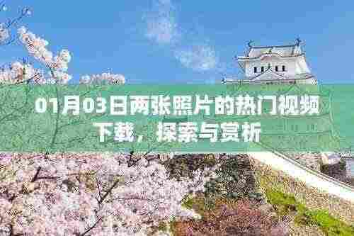 热门视频下载揭秘，两张照片背后的故事探索与赏析