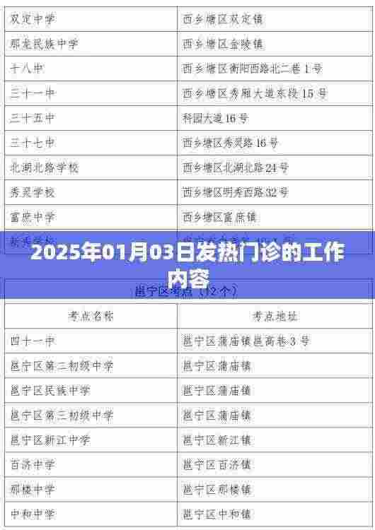 2025年1月3日发热门诊工作概览