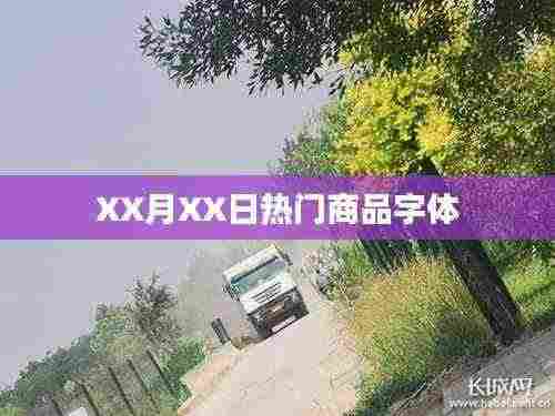XX月XX日热销商品特色字体介绍