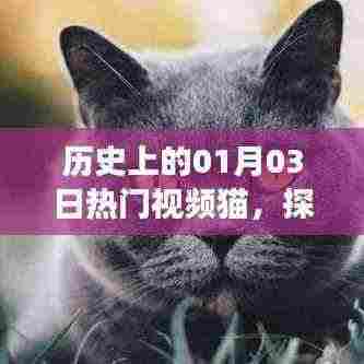 探寻热门视频猫背后的故事与趋势——历史上的今天（一月三日）