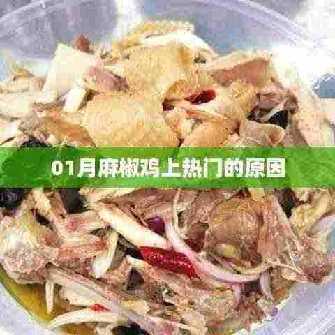 揭秘，为何麻椒鸡在01月成为热门美食？