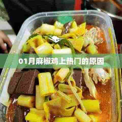 揭秘,为何麻椒鸡在01月成为热门美食?