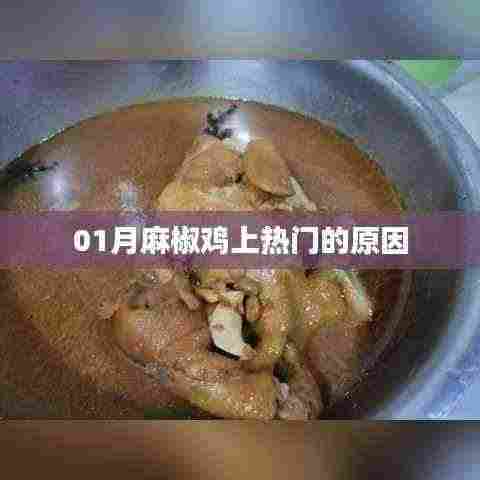 揭秘,为何麻椒鸡在01月成为热门美食?
