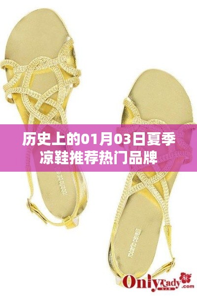 夏季凉鞋热门品牌推荐,历史视角下的01月03日回顾