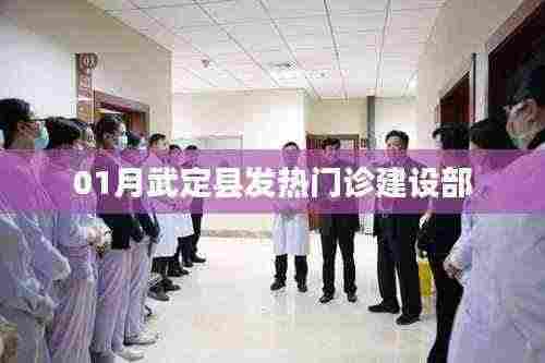 武定县发热门诊建设部,建设进展与防疫措施