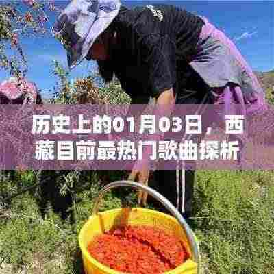 善始善终 第4页