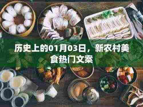 新年新风尚,探寻农村美食之旅开启日期揭晓