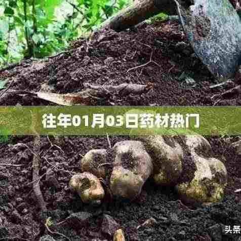 『药材市场风向标，历年一月初热门药材概览』