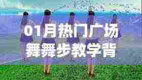 01月热门广场舞背面舞步教学详解