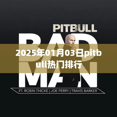 Pitbull热门排行揭晓,2025年1月3日最新动态