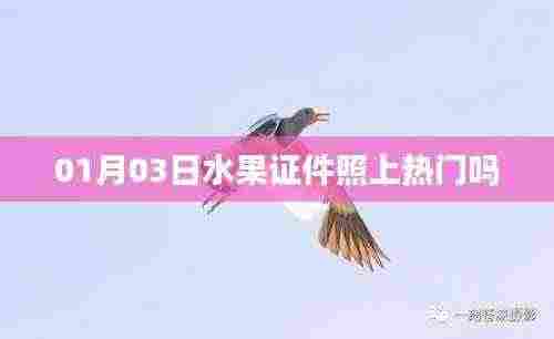 水果证件照走红,揭秘背后的热门趋势