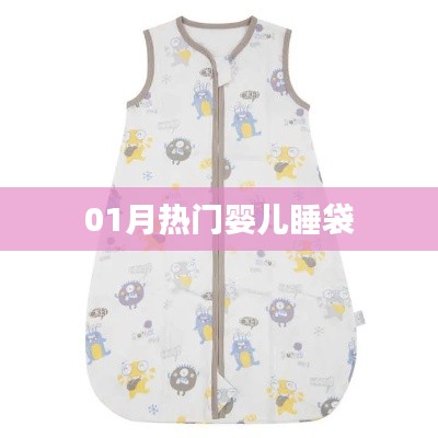 婴儿睡袋一月热门推荐