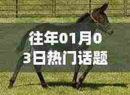 骡子话题大热，历年一月三日热议焦点