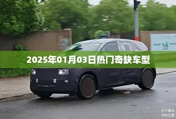 『2025年热门奇缺车型一览』