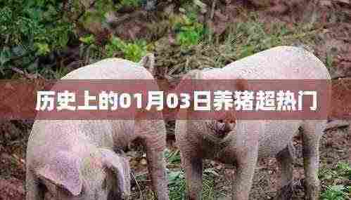 养猪行业历史上的重要日子，一月三日超热门事件回顾