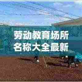劳动教育场所名称大全最新:劳动教育基地有哪些