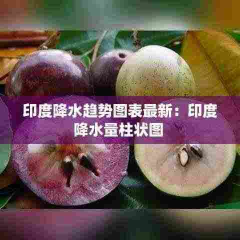 印度降水趋势图表最新:印度降水量柱状图