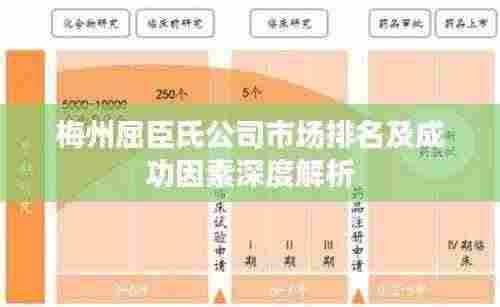 梅州屈臣氏公司市场排名及成功因素深度解析