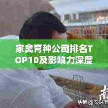 家禽育种公司排名TOP10及影响力深度解析