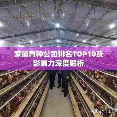 家禽育种公司排名TOP10及影响力深度解析