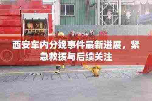 西安车内分娩事件最新进展,紧急救援与后续关注