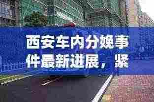西安车内分娩事件最新进展,紧急救援与后续关注
