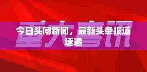 今日头闸新闻,最新头条报道速递