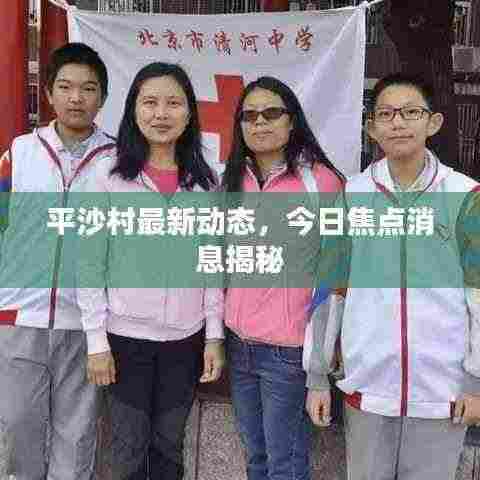 平沙村最新动态，今日焦点消息揭秘